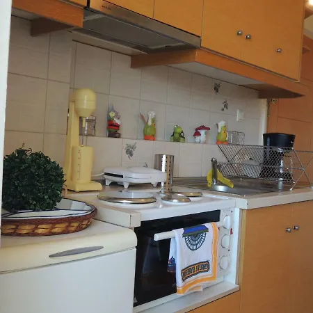 Square With Panoramic View Daire *